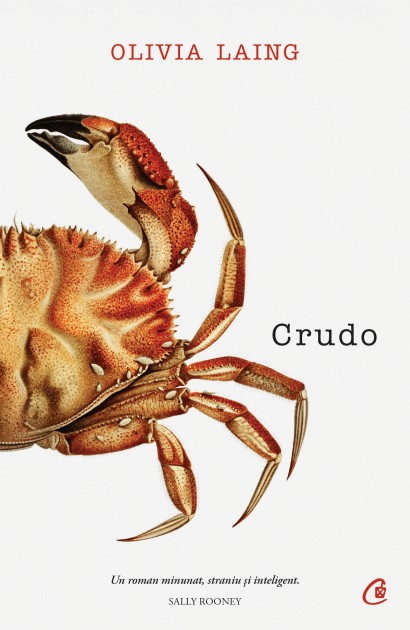 Crudo Olivia Laing Curtea Veche Publishing